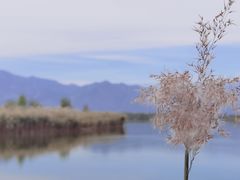 -野鸭湖国家湿地公园