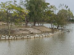 -盐城丹顶鹤湿地生态旅游区