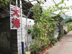 -大海别墅民宿农家院(十渡店)