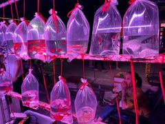 -华声天桥民俗文化园