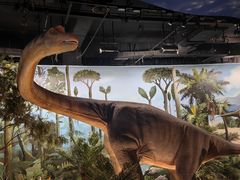 -陕西自然博物馆