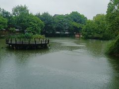 -西溪国家湿地公园