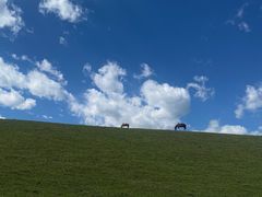 -新疆那拉提国家旅游度假区