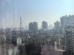 -复旦大学附属妇产科医院(杨浦院区)