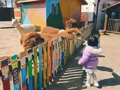 -太阳岛度假酒店