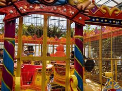 -南宫五洲植物乐园