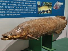 -浙江自然博物院(杭州馆)