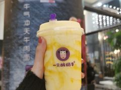 -一只酸奶牛(八一路店)