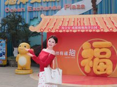 -海合安成都极地海洋公园