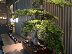 大堂-湊湊火锅·茶憩(打浦桥日月光店)