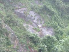 -宁波五龙潭景区