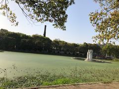 -谷咖啡·鲜花绿植花园餐厅