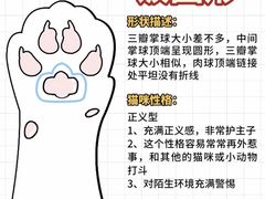 -纳吉亚猫专科动物诊疗中心(蒋宅口分院)