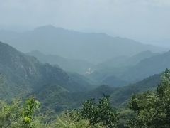-大岭沟猕猴桃谷风景区