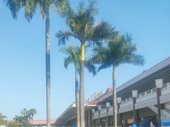 -珠海拱北口岸