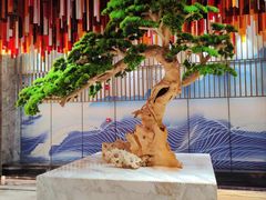 -青水瓦台汤泉(未央店)