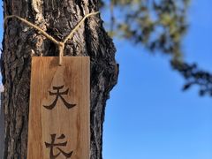 -如花大师咖啡·