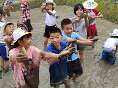-洪湖家庭农场·团建·露营·会议