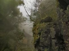 -藏龙百瀑风景区