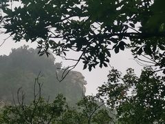 -北京上方山国家森林公园