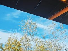 -宝荣鱼馆·临湖之宴(千岛湖店)