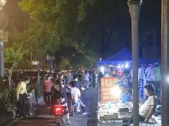 -南湖公园地摊集市
