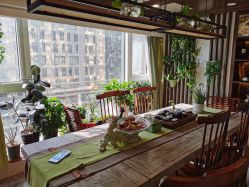 -青青一生美皮肤管理