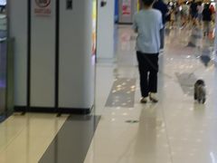 -凯德广场(武胜路店)