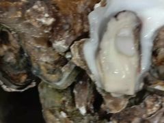 -宾朋海鲜美食特色餐厅·纯手工鲅鱼水饺(兴海路店)