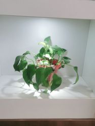 -壹加壹医疗美容·轻医美·美容外科
