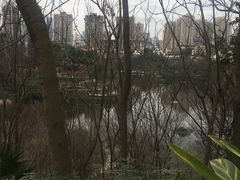 -重庆彩云湖湿地公园