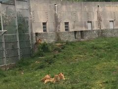 -西安秦岭野生动物园