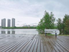 -长白岛森林公园