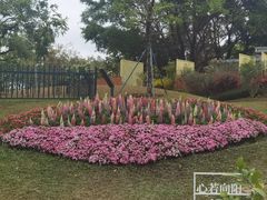 -云溪植物园