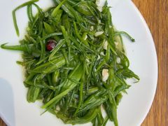 -滇铺子·云南特色菜·第九届野生菌美食节(东风东路c86店)