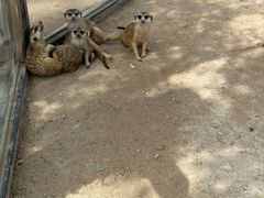 -鄂尔多斯野生动物园