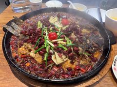 -老板恋上鱼(恒隆广场店)