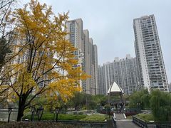 -苏州河梦清园环保主题公园