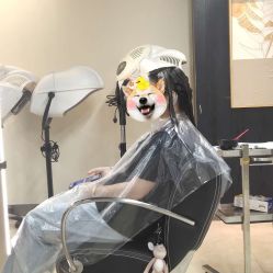 -苑苑发型设计