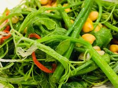 -巴依老爷新疆美食(望京小街店)