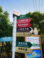 -前小桔亲子创意农场·草莓采摘·露营烧烤