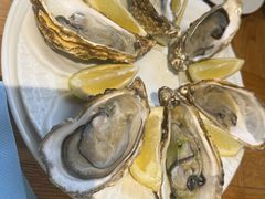 -NORDSEE Frankfurt Fisch Franke