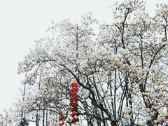 -杭州上天竺法喜讲寺