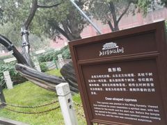 -北京市劳动人民文化宫(太庙)