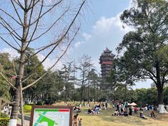 -塔子山公园