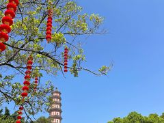 -广州莲花山旅游区