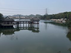 -水濂山森林公园