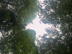 -山王坪喀斯特国家生态公园