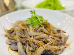 炝青虾-苏启渔港(云南北路店)