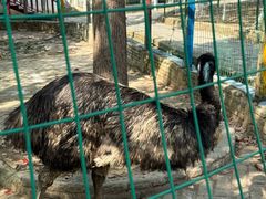 -武汉紫薇都市田园